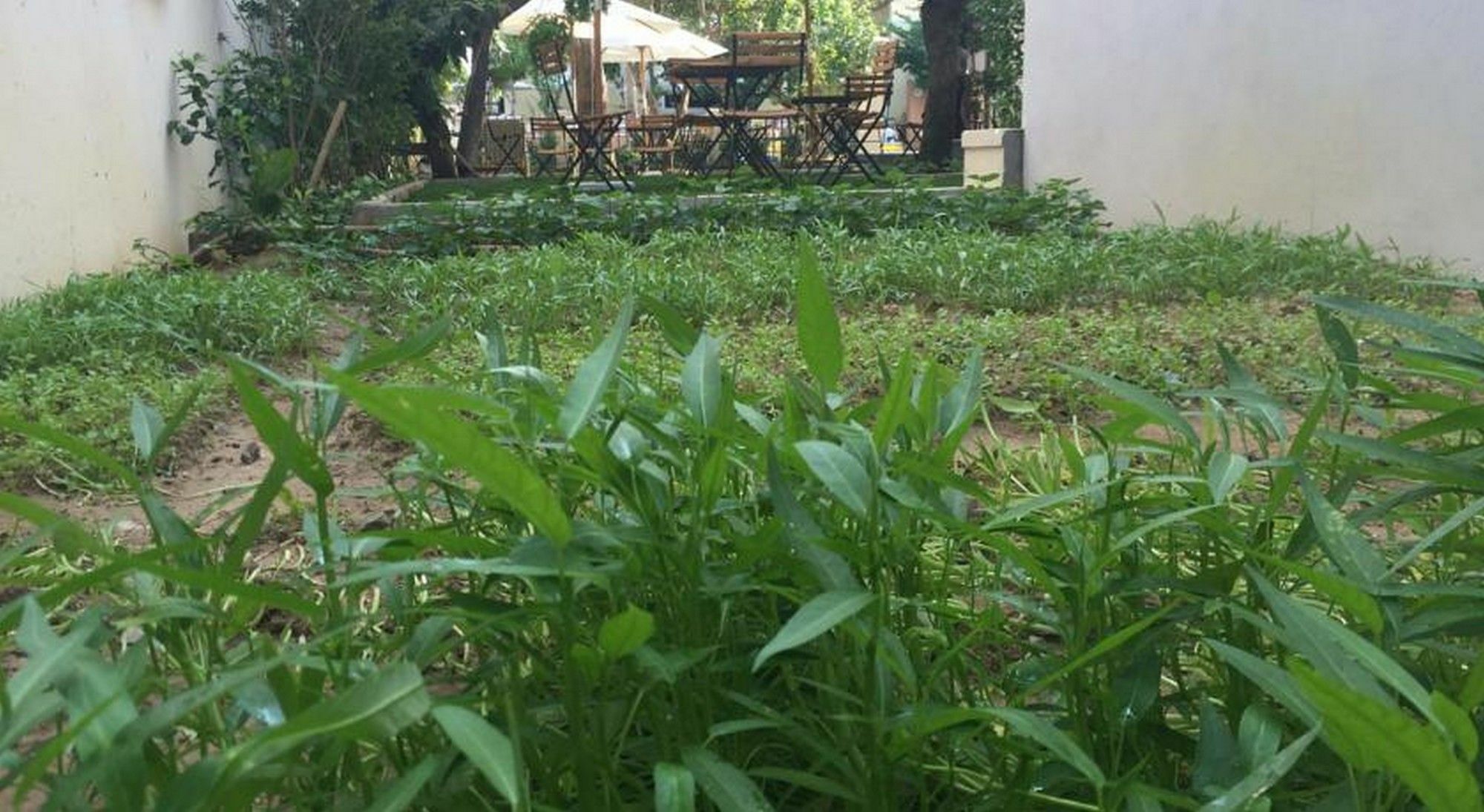 Heritage Homestay Hoi An Exterior photo